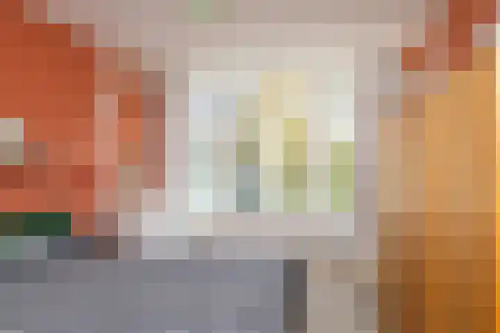 Graaf Florisstraat 110 B Rotterdam thumbnail 25