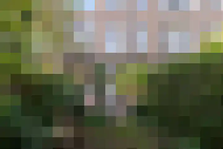 Graaf Florisstraat 110 B Rotterdam thumbnail 35