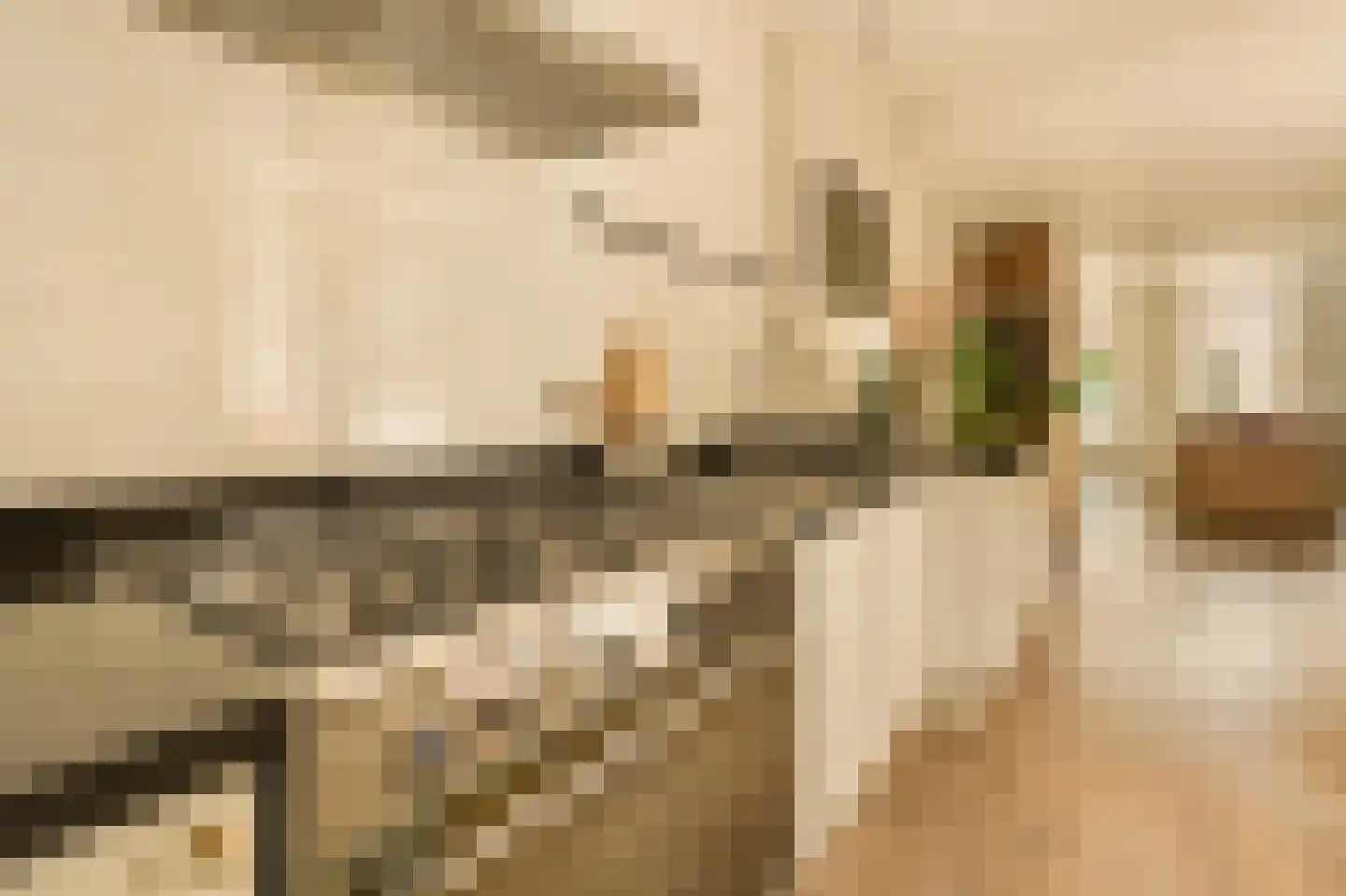 Graaf Florisstraat 12 2 Amsterdam thumbnail 14
