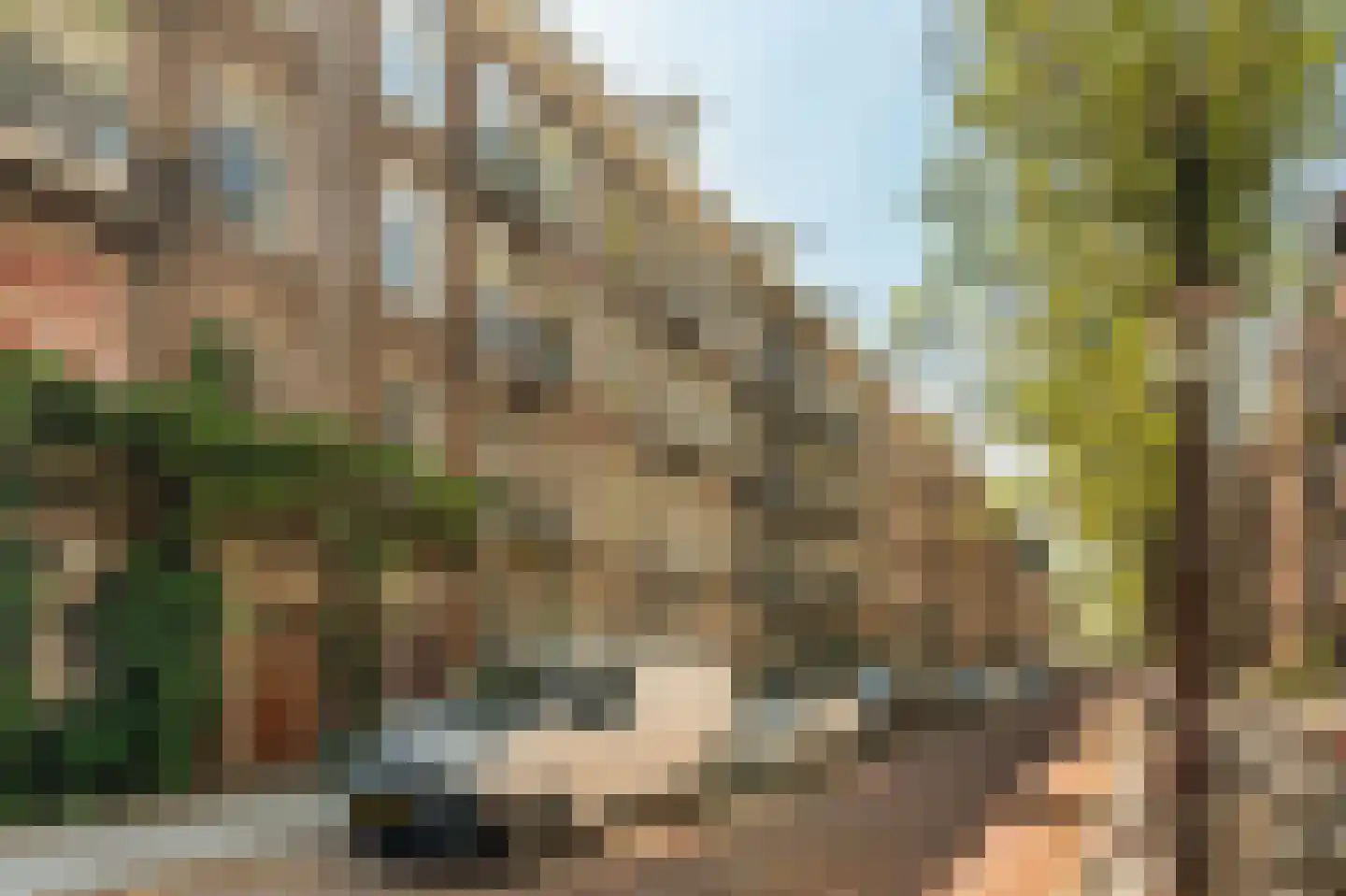 Graaf Florisstraat 12 2 Amsterdam thumbnail 4