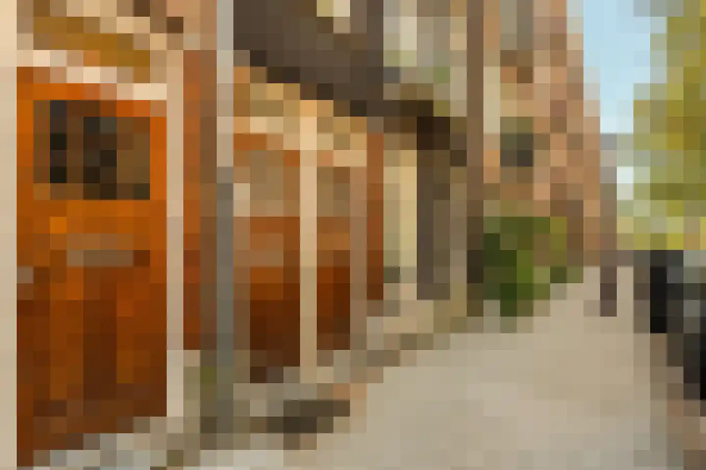 Graaf Florisstraat 12 2 Amsterdam thumbnail 5