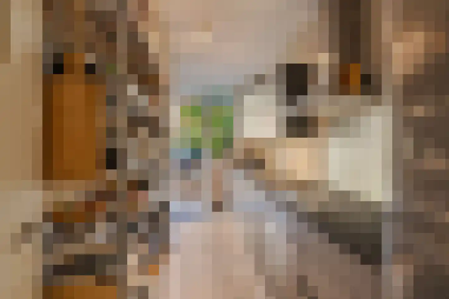 Graaf Florisstraat 12 A Rotterdam thumbnail 12