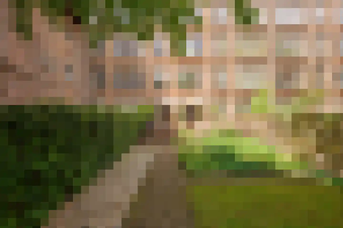 Graaf Florisstraat 12 A Rotterdam thumbnail 28