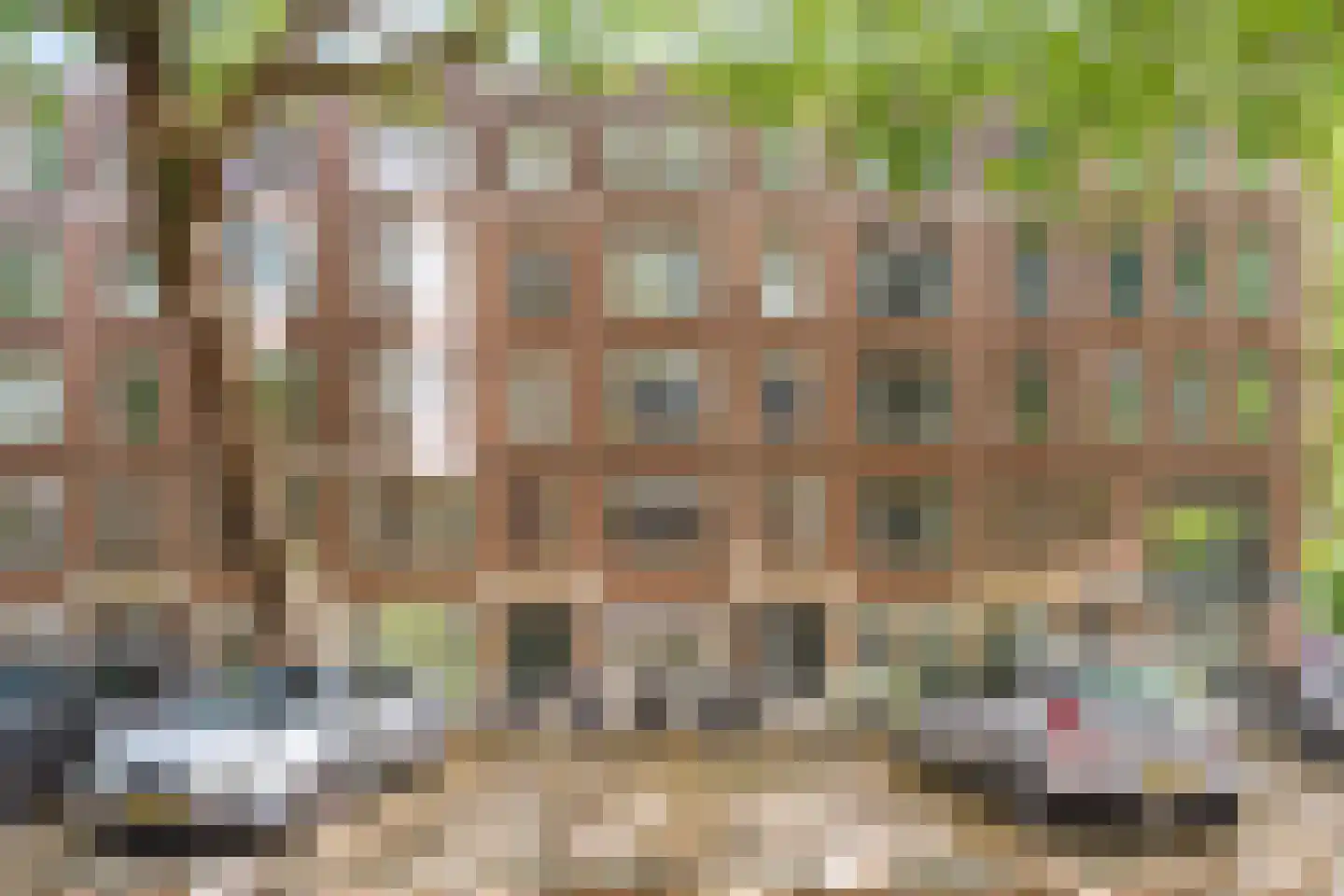 Graaf Florisstraat 12 A Rotterdam thumbnail 6