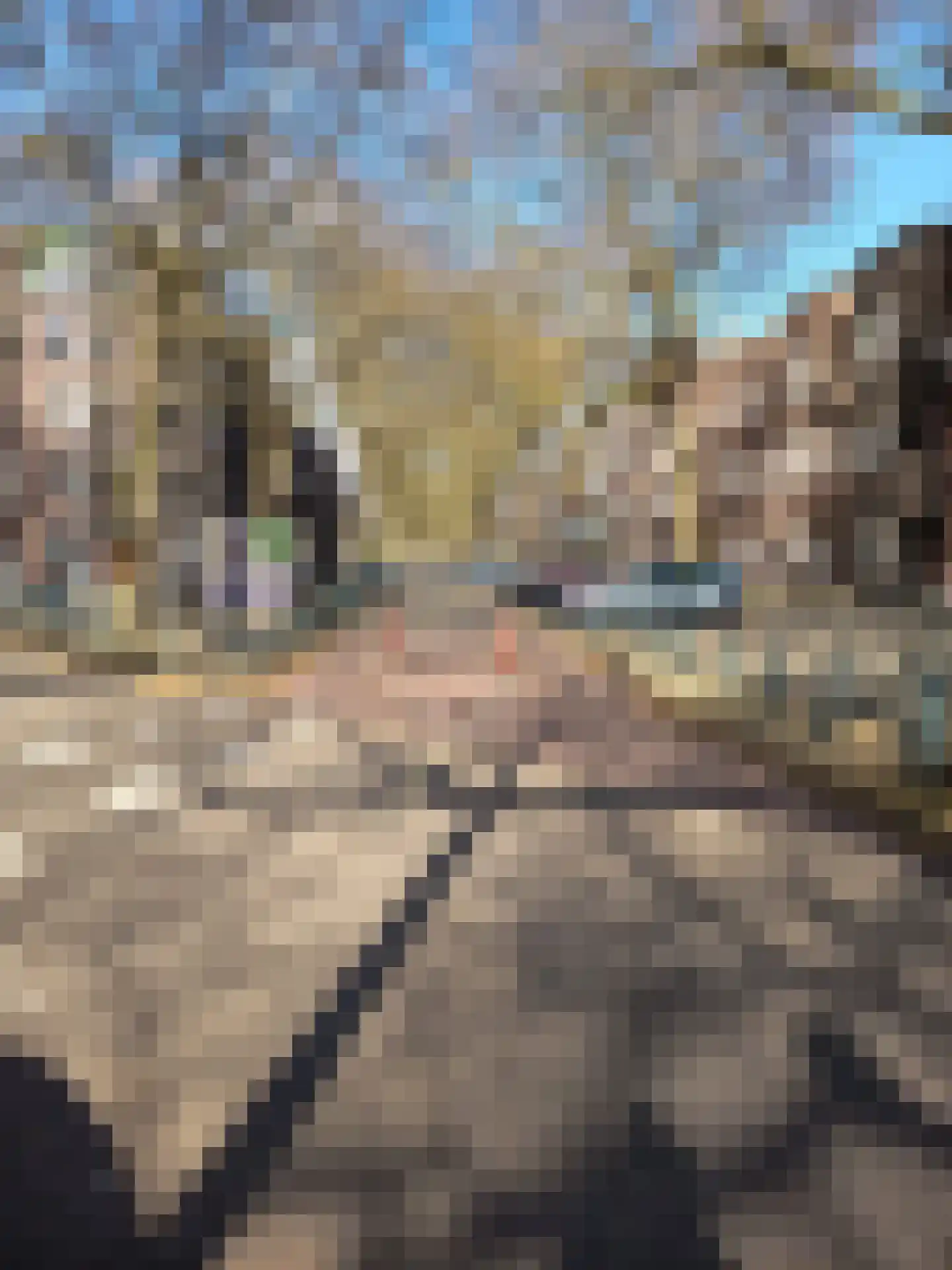 Graaf Florisstraat 120 A Rotterdam thumbnail 31