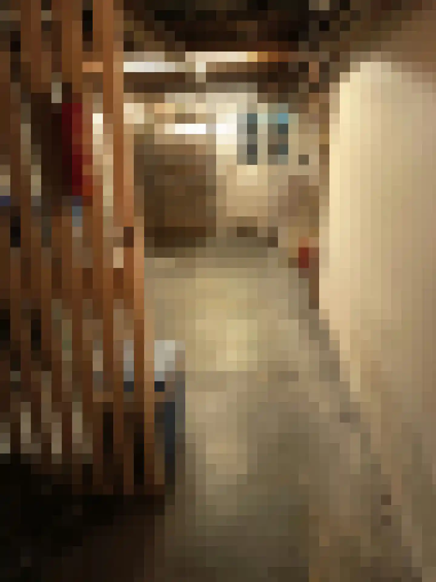 Graaf Florisstraat 120 B Rotterdam thumbnail 29