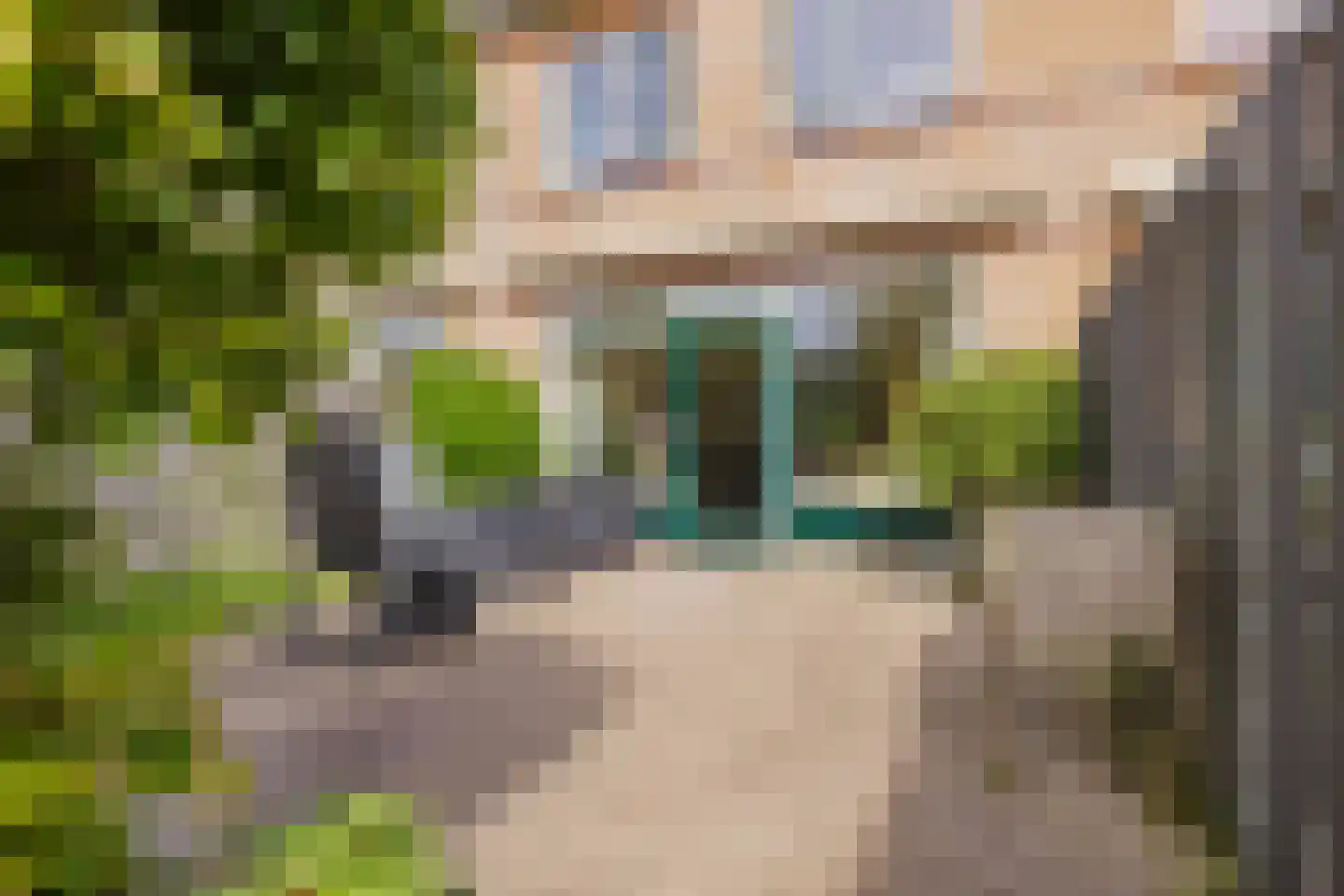 Graaf Florisstraat 15 Alphen aan den Rijn thumbnail 26