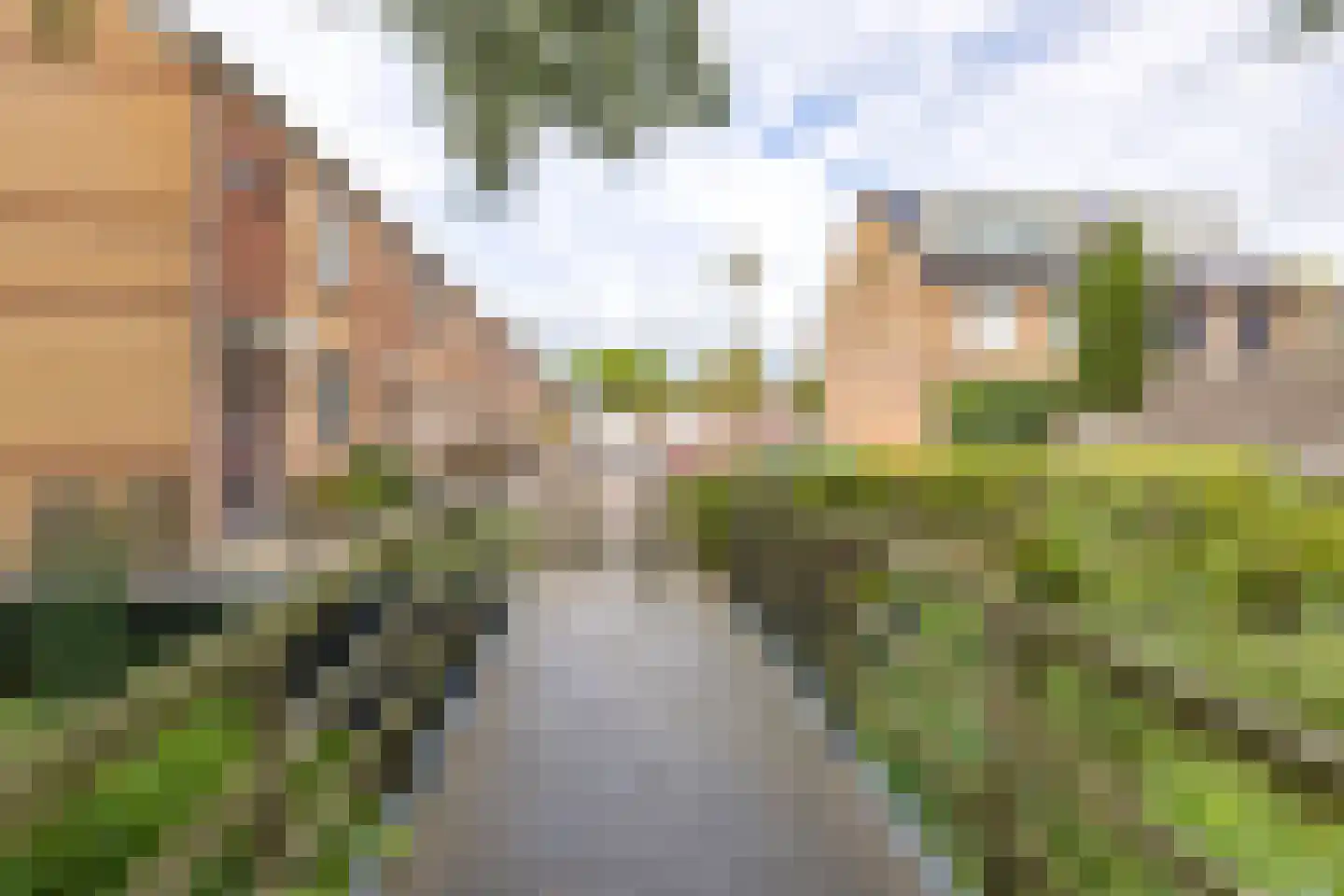 Graaf Florisstraat 15 Alphen aan den Rijn foto 3