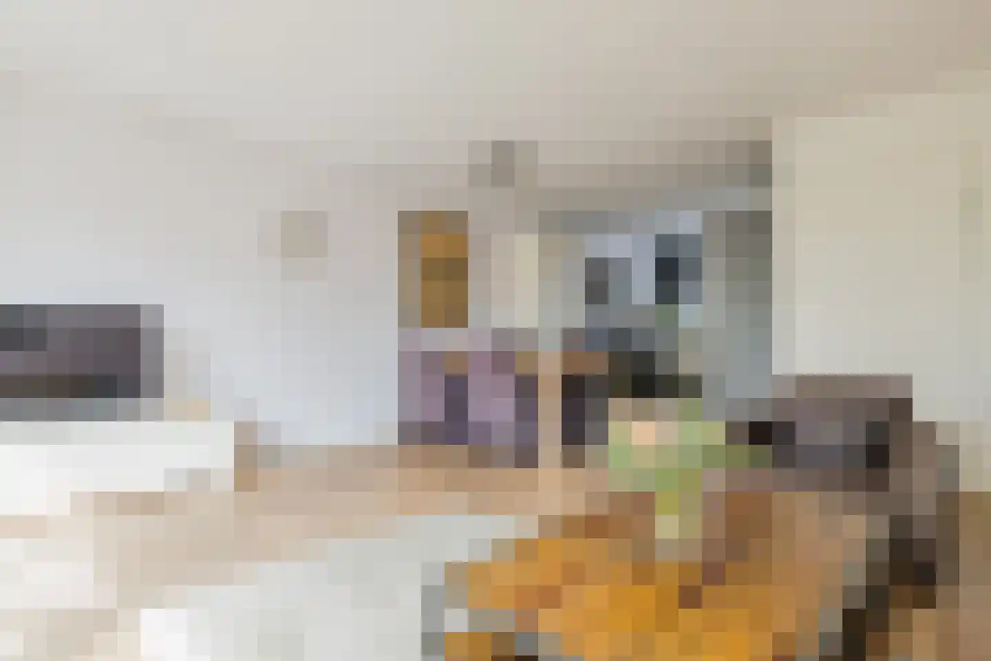 Graaf Florisstraat 15 Alphen aan den Rijn thumbnail 4
