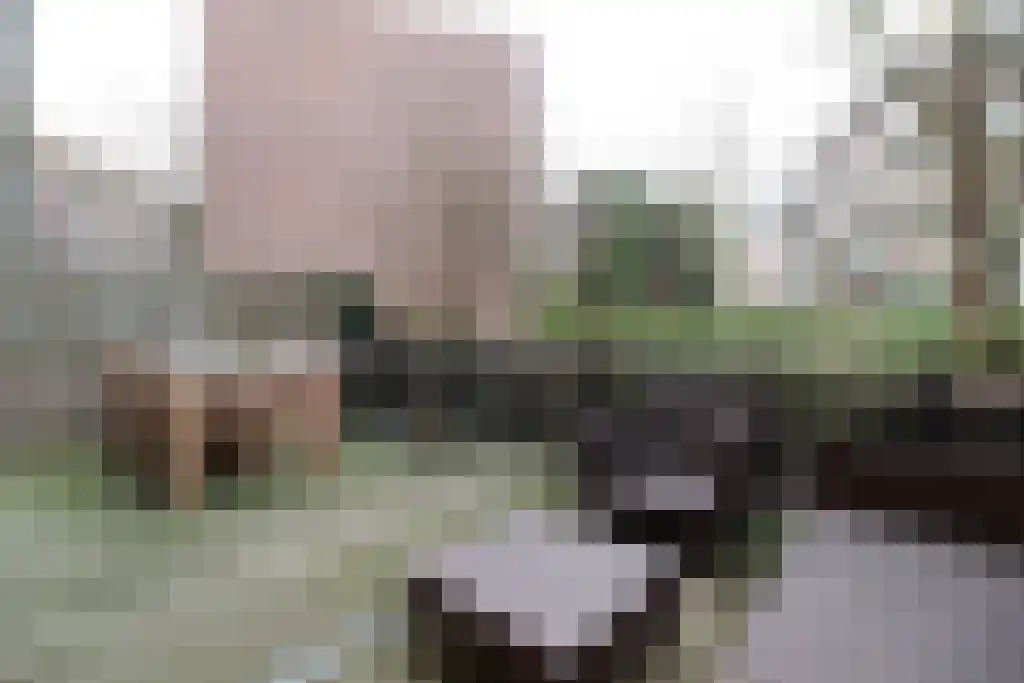 Graaf Florisstraat 15 Rotterdam thumbnail 4