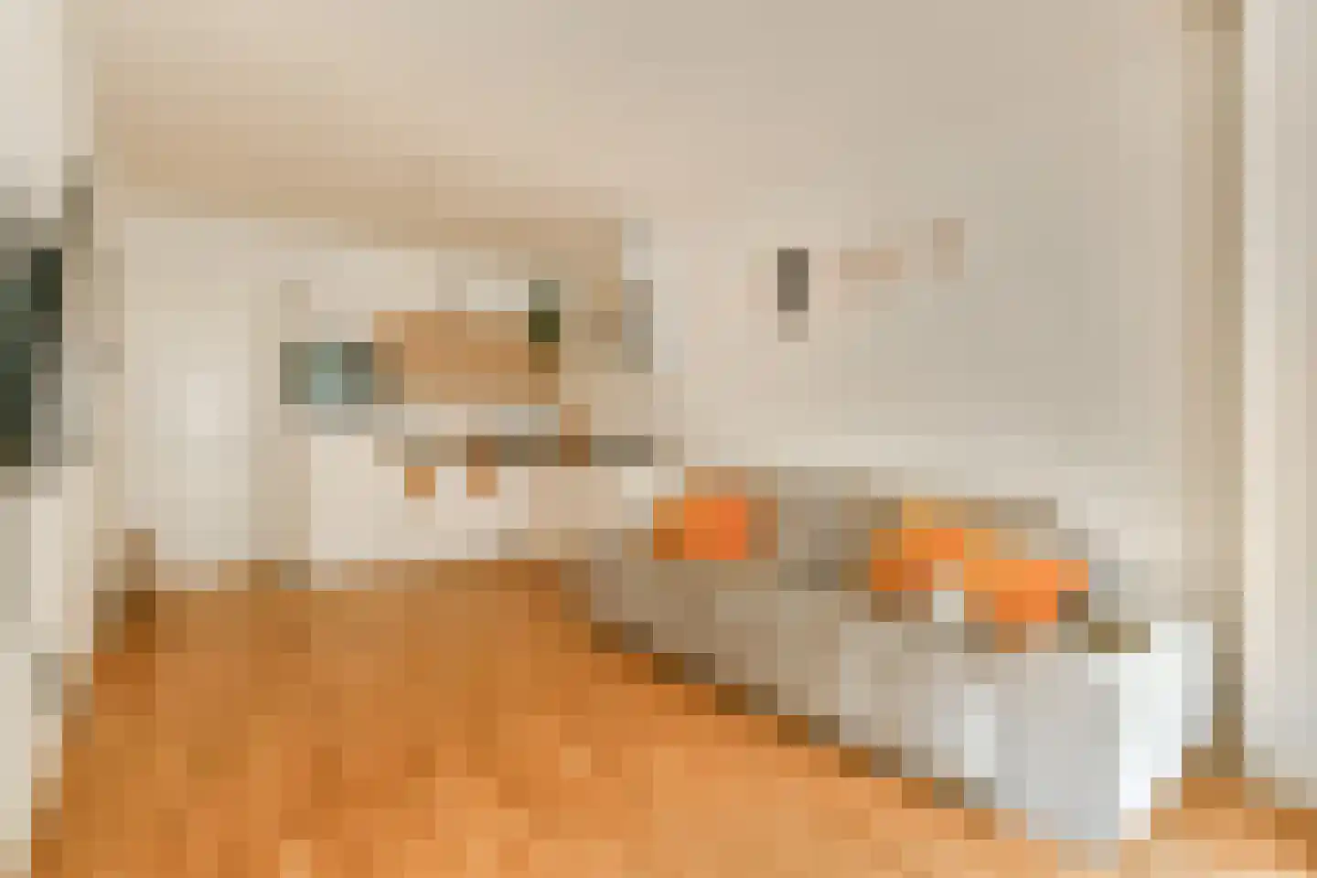 Graaf Florisstraat 17 1 Amsterdam thumbnail 10
