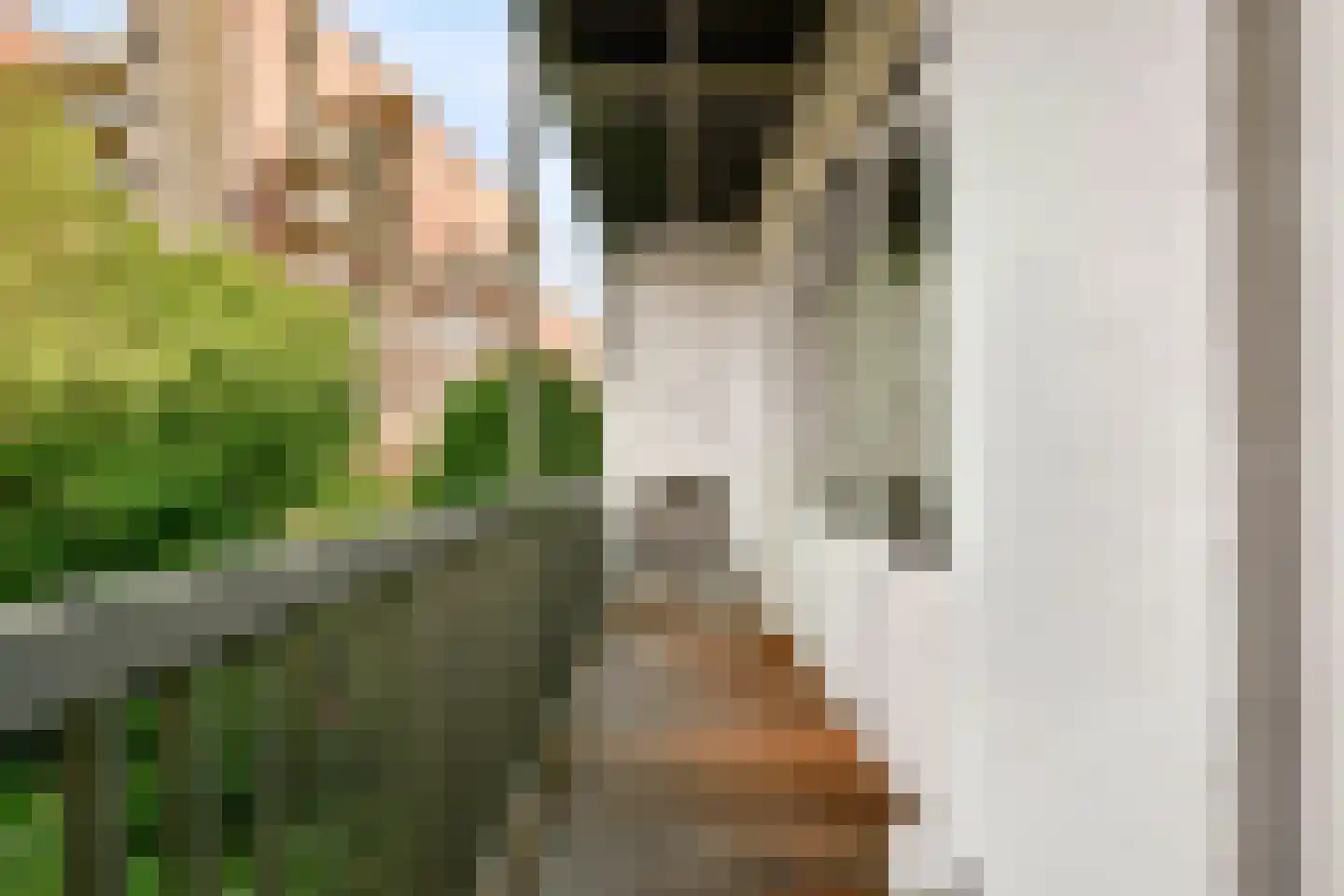 Graaf Florisstraat 17 1 Amsterdam thumbnail 15