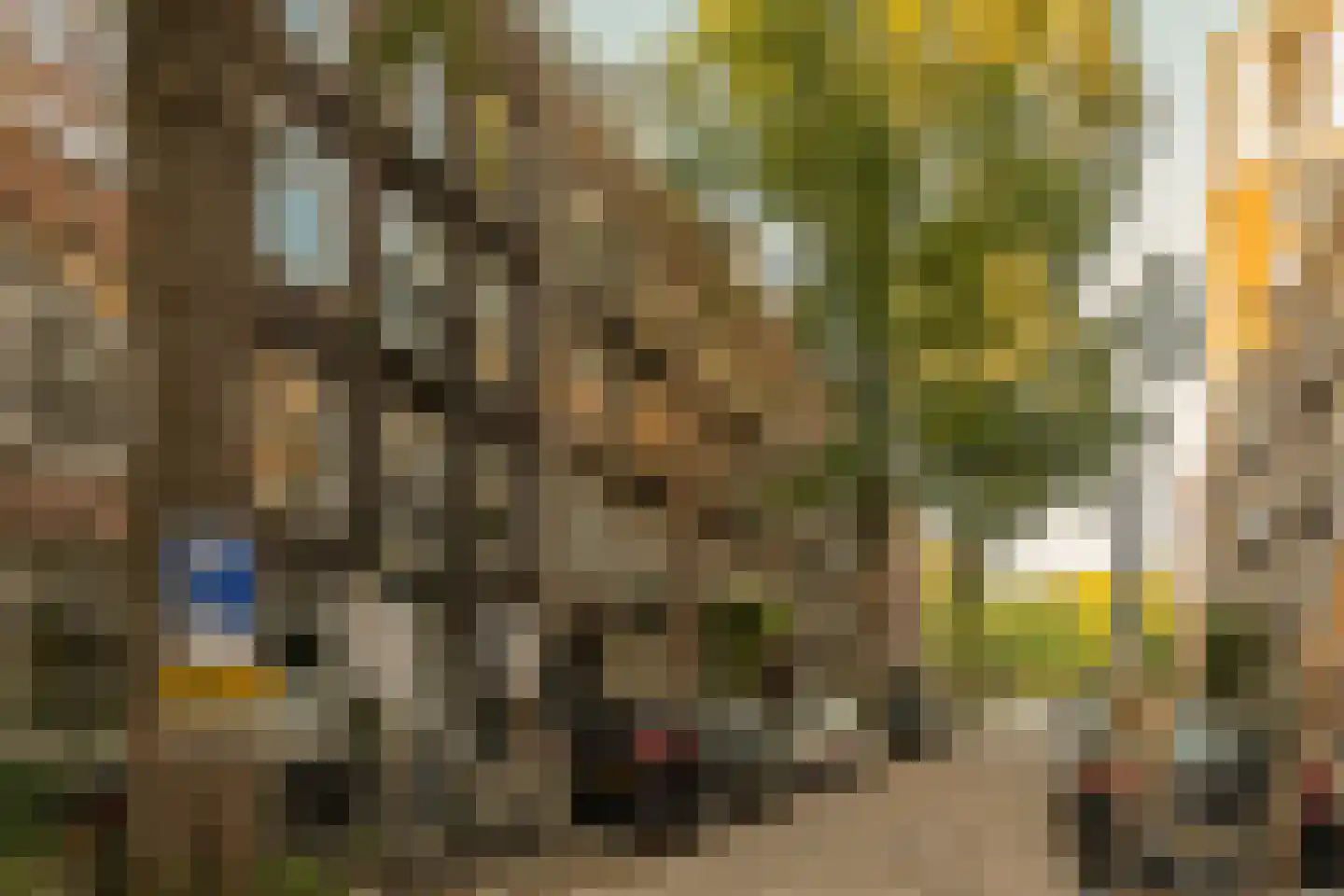 Graaf Florisstraat 17 H Amsterdam thumbnail 5