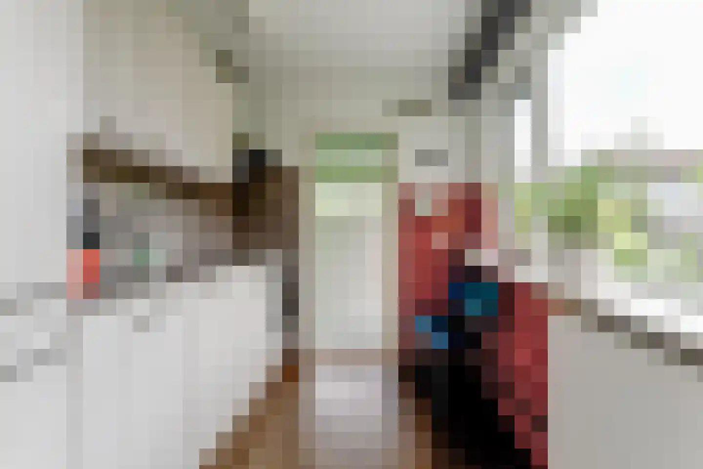 Graaf Florisstraat 18 Hoogwoud thumbnail 14