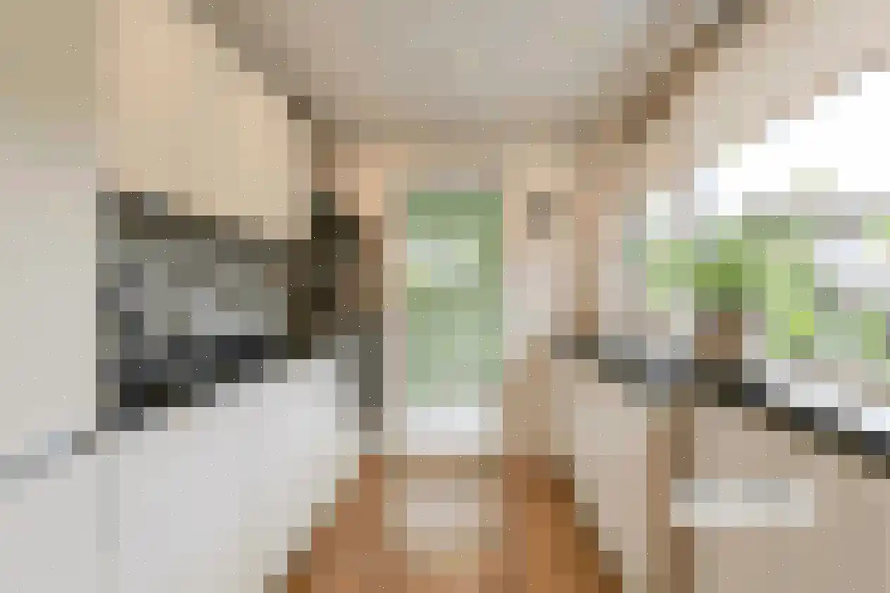Graaf Florisstraat 18 Hoogwoud thumbnail 15