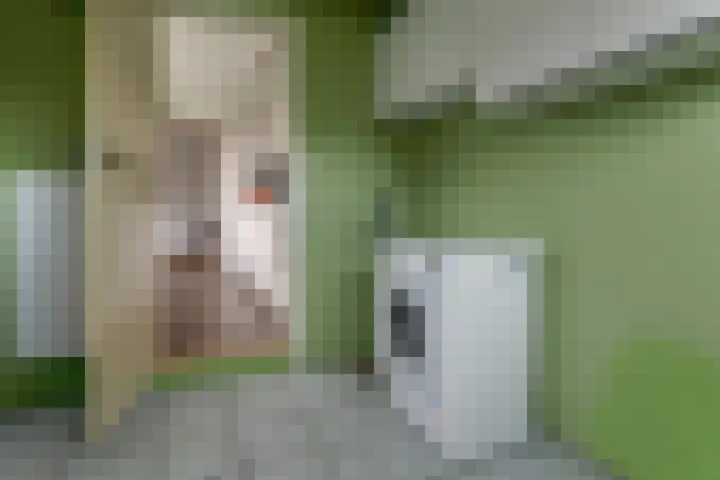 Graaf Florisstraat 18 Hoogwoud thumbnail 17