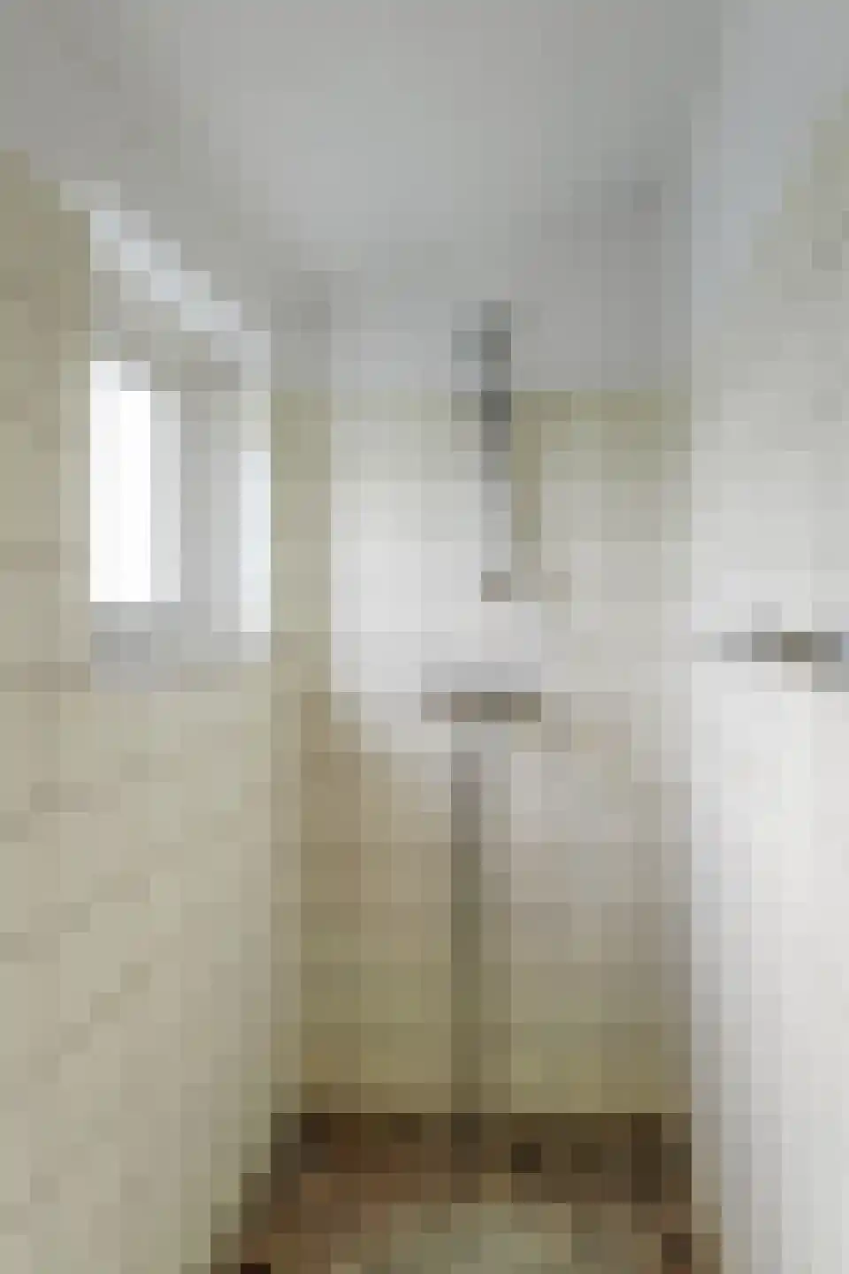 Graaf Florisstraat 18 Hoogwoud thumbnail 31