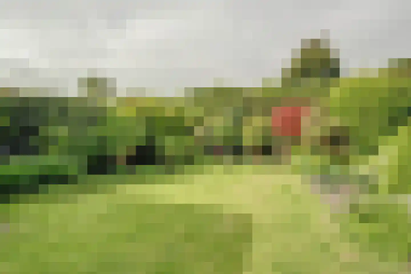 Graaf Florisstraat 18 Hoogwoud thumbnail 40