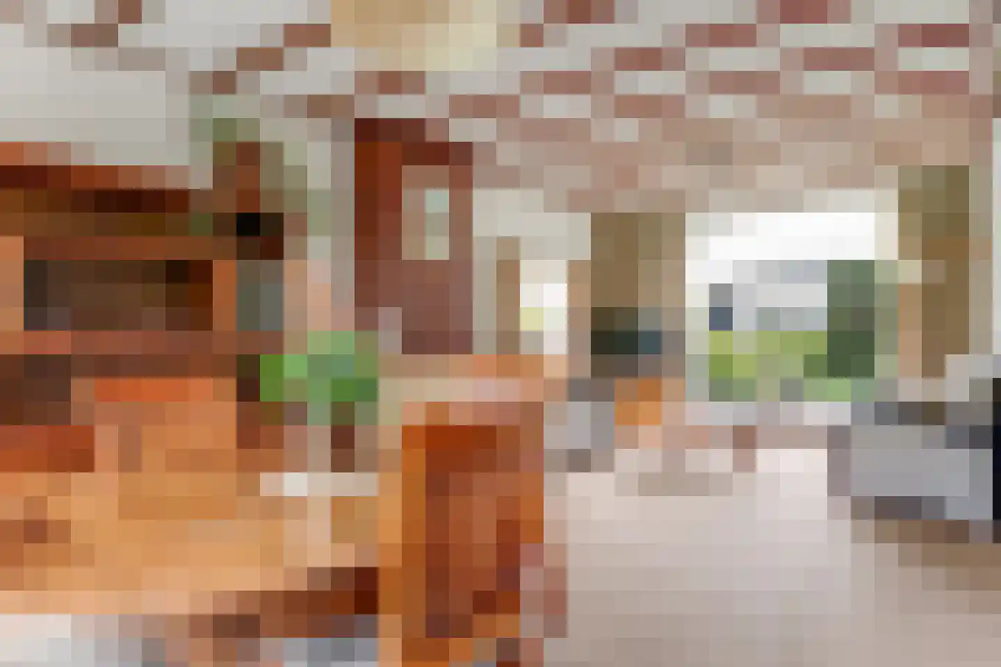 Graaf Florisstraat 18 Hoogwoud thumbnail 9