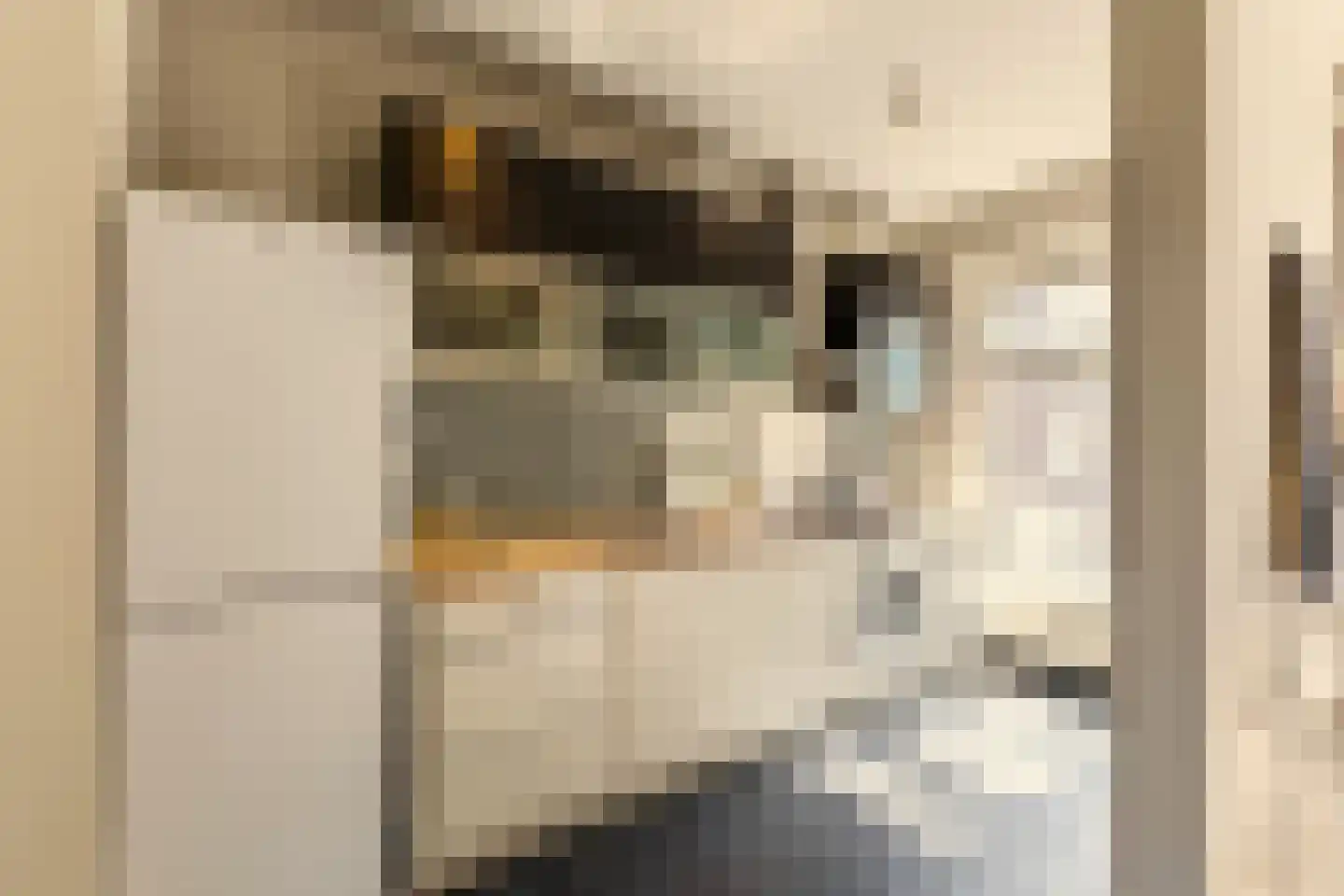 Graaf Florisstraat 19 1 Amsterdam thumbnail 8