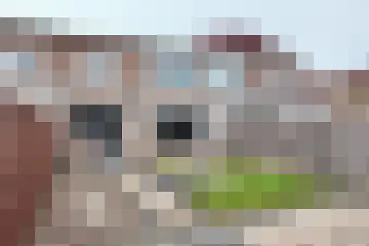Graaf Florisstraat 20 Klundert thumbnail 41
