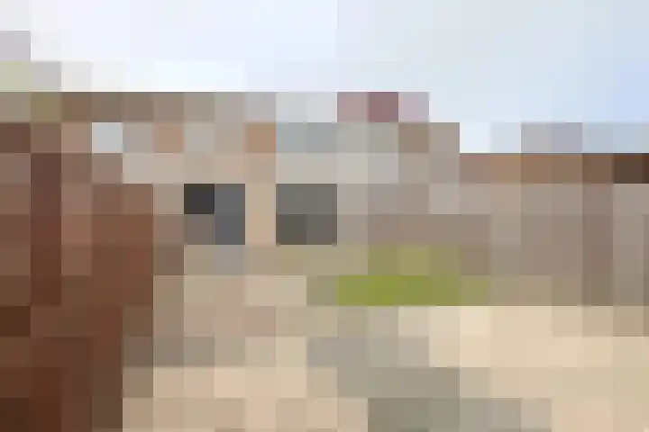 Graaf Florisstraat 20 Klundert thumbnail 42