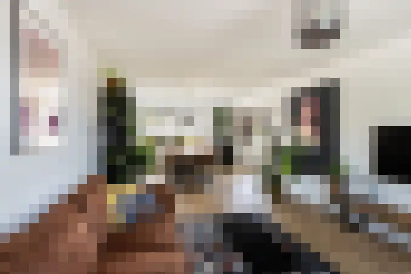 Graaf Florisstraat 22 Klundert thumbnail 18