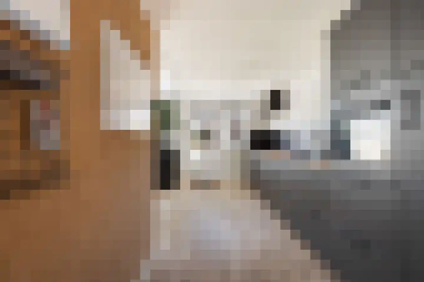 Graaf Florisstraat 22 Klundert thumbnail 23