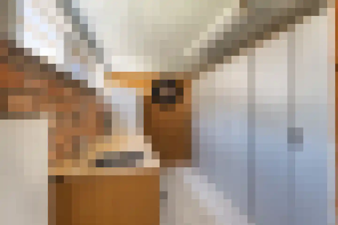 Graaf Florisstraat 22 Klundert thumbnail 41