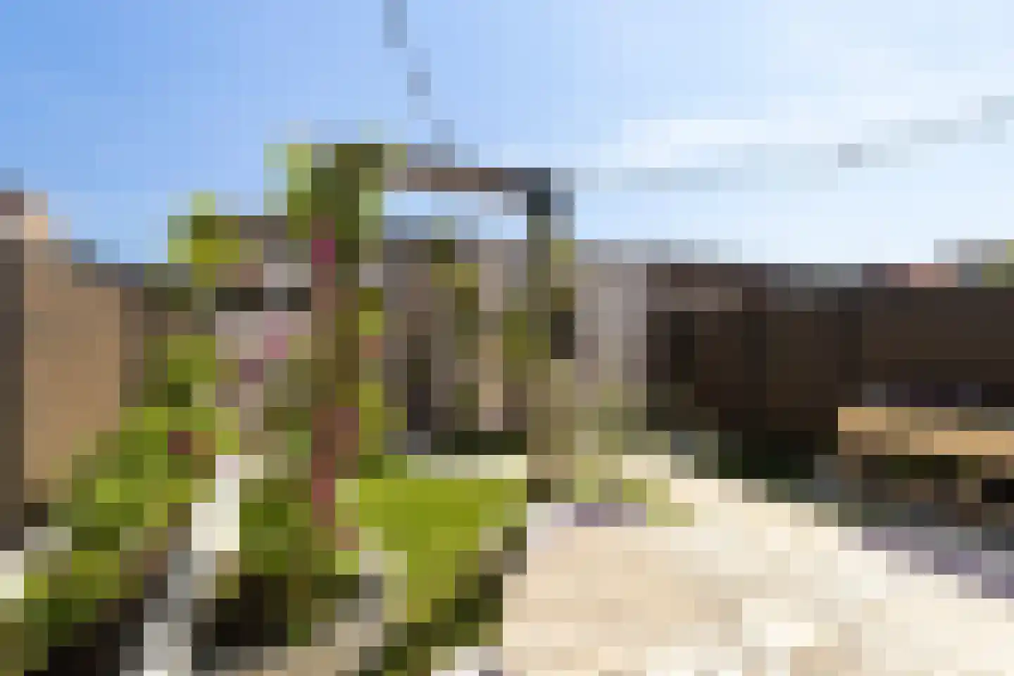 Graaf Florisstraat 22 Klundert thumbnail 5