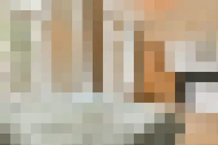 Graaf Florisstraat 25 1 Amsterdam thumbnail 18