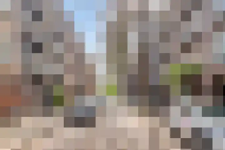Graaf Florisstraat 25 1 Amsterdam thumbnail 23