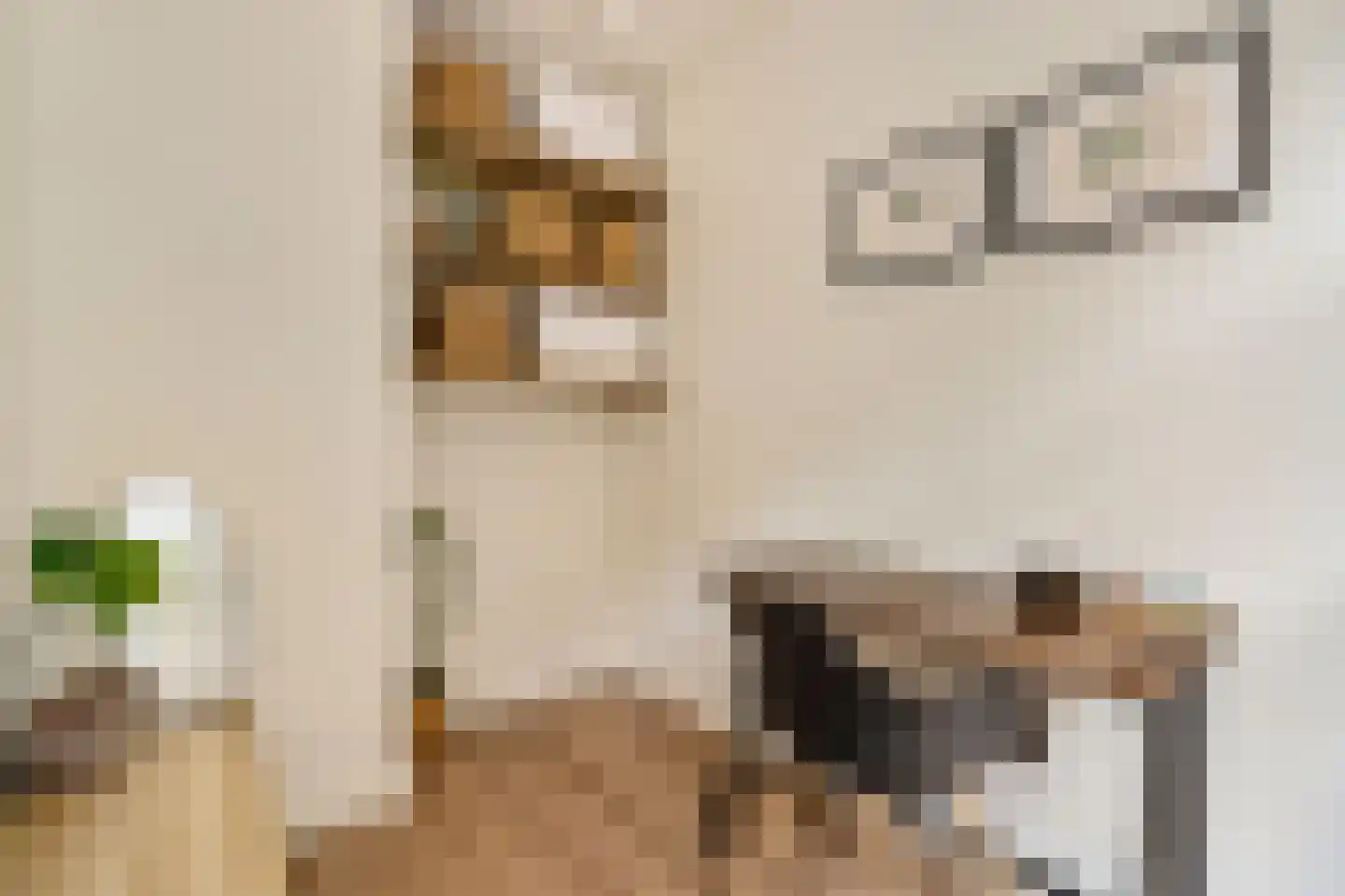 Graaf Florisstraat 25 1 Amsterdam thumbnail 25