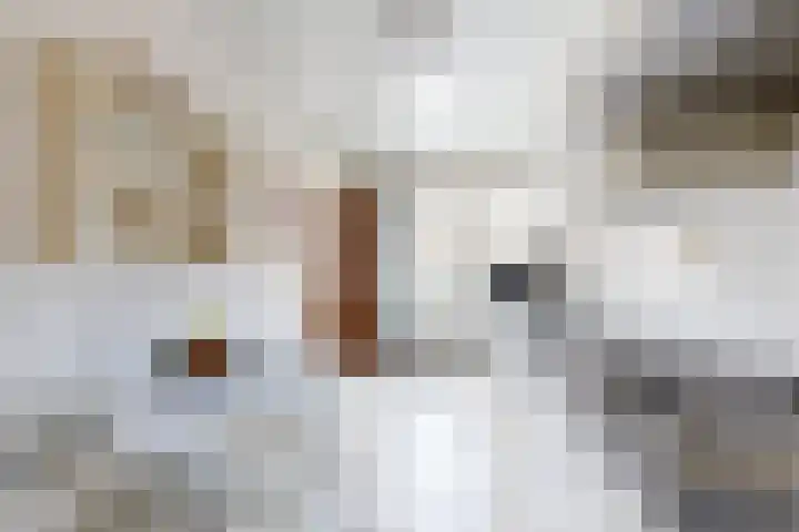 Graaf Florisstraat 26 Klundert thumbnail 20