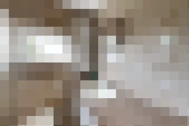 Graaf Florisstraat 26 Klundert thumbnail 30