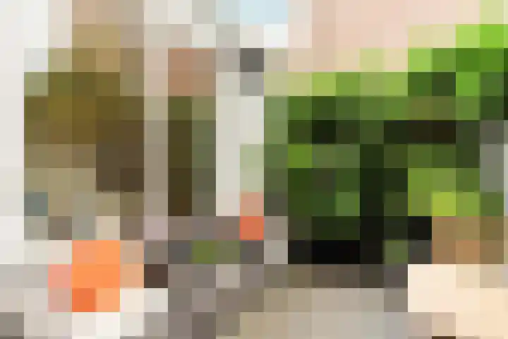 Graaf Florisstraat 27 2 Amsterdam thumbnail 25