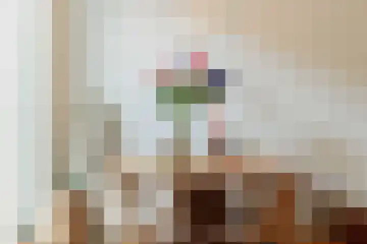 Graaf Florisstraat 27 2 Amsterdam thumbnail 9