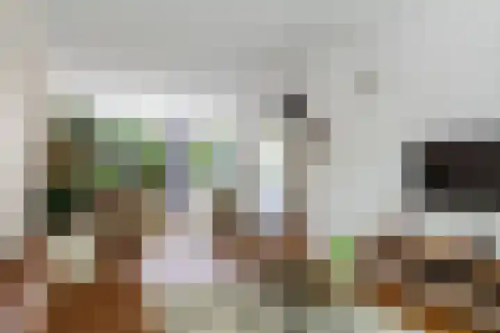 Graaf Florisstraat 31 A in Rotterdam