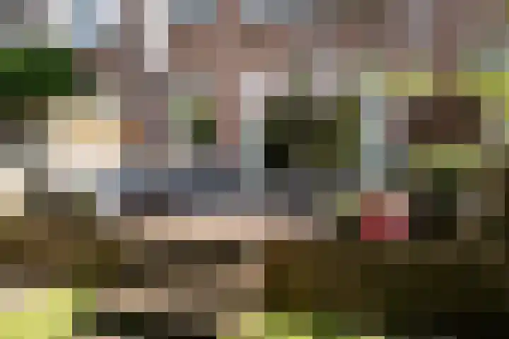 Graaf Florisstraat 31 A Rotterdam thumbnail 29