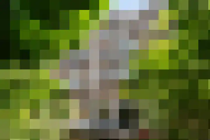 Graaf Florisstraat 31 A Rotterdam thumbnail 33