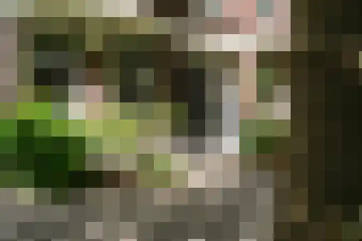 Graaf Florisstraat 31 A Rotterdam thumbnail 57