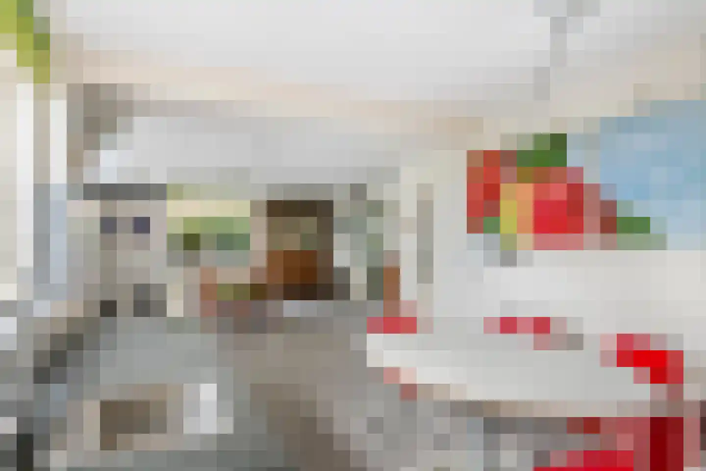 Graaf Florisstraat 32 Everdingen thumbnail 23