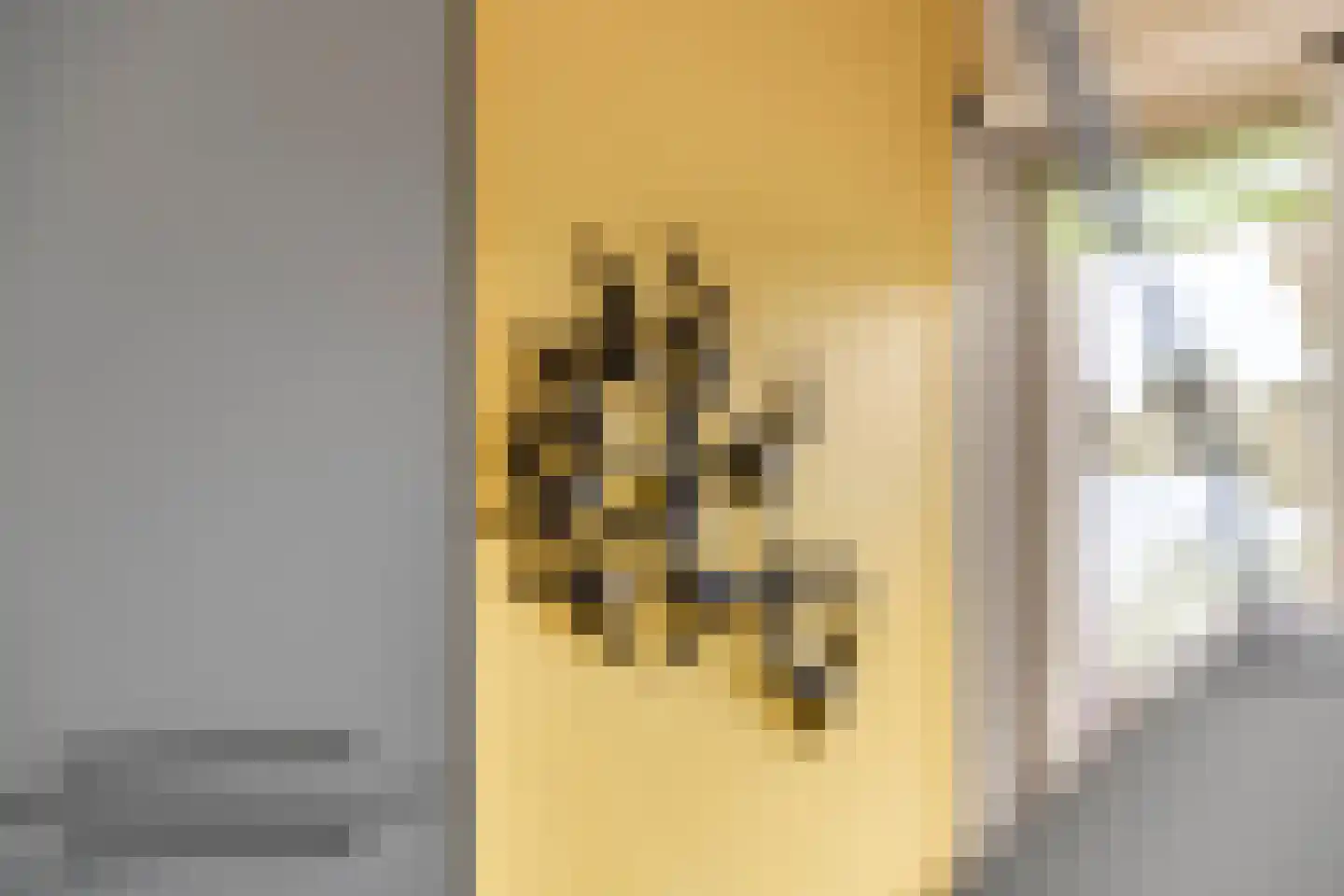 Graaf Florisstraat 32 Everdingen thumbnail 27