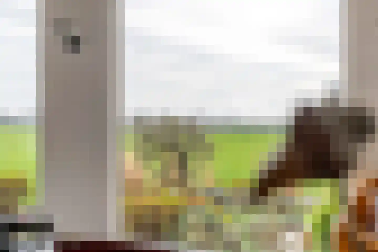 Graaf Florisstraat 32 Everdingen thumbnail 28