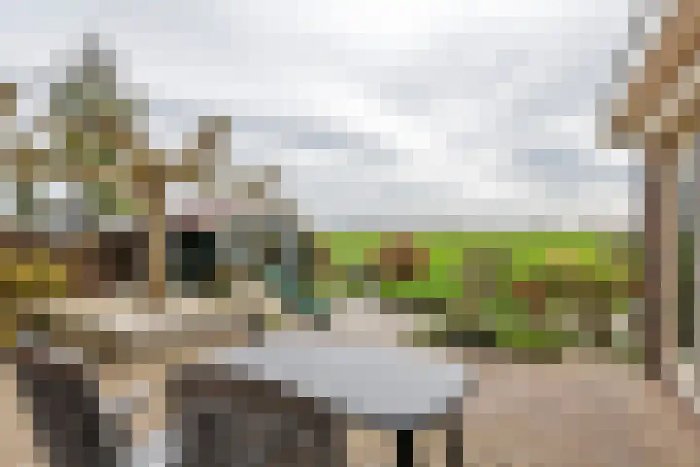 Graaf Florisstraat 32 Everdingen thumbnail 29