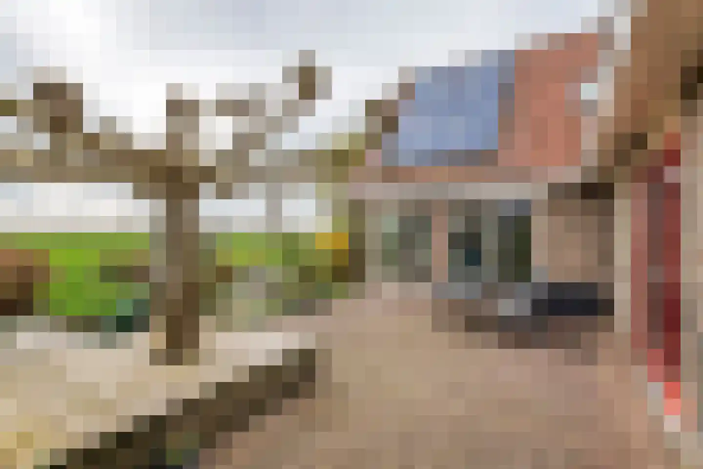 Graaf Florisstraat 32 Everdingen thumbnail 30