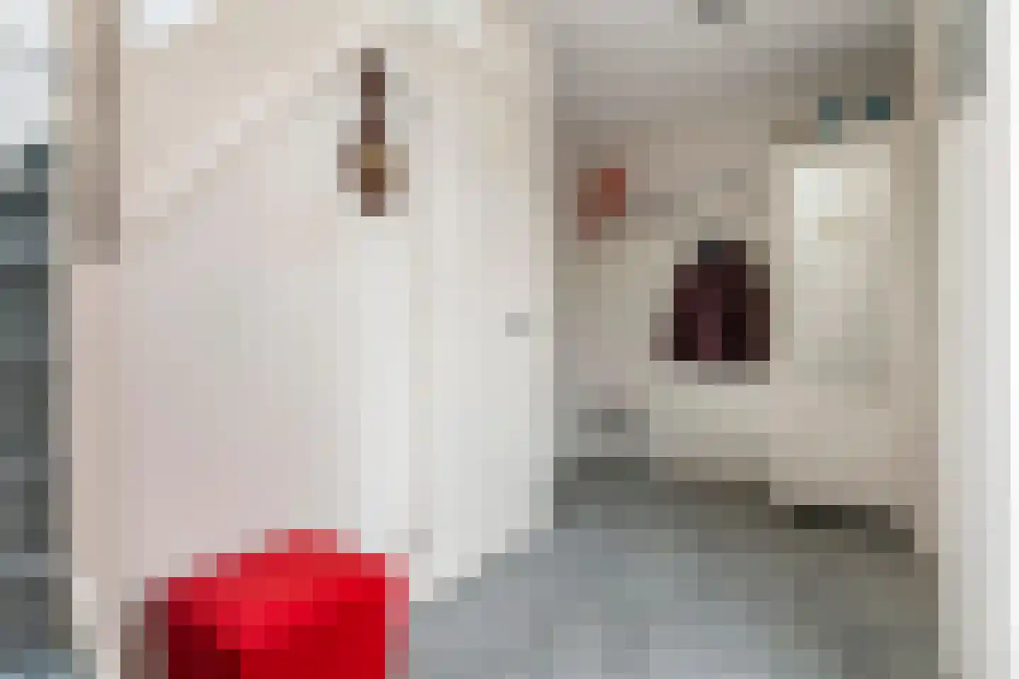 Graaf Florisstraat 32 Everdingen thumbnail 34