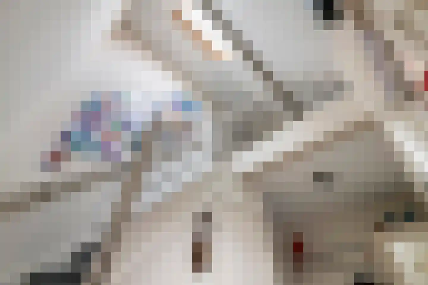 Graaf Florisstraat 32 Everdingen thumbnail 37