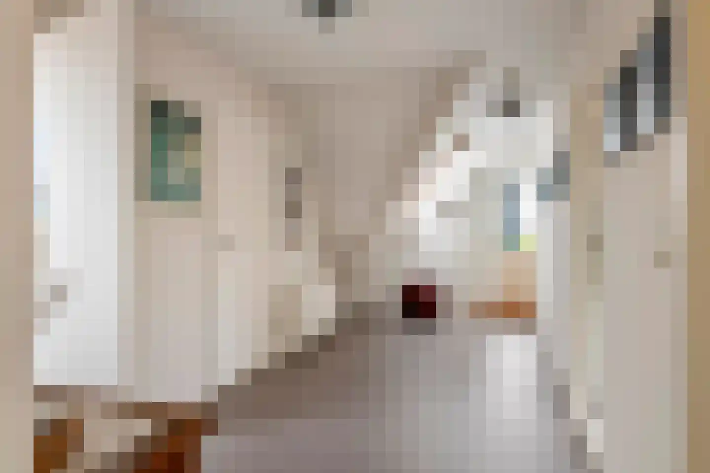 Graaf Florisstraat 32 Everdingen thumbnail 38