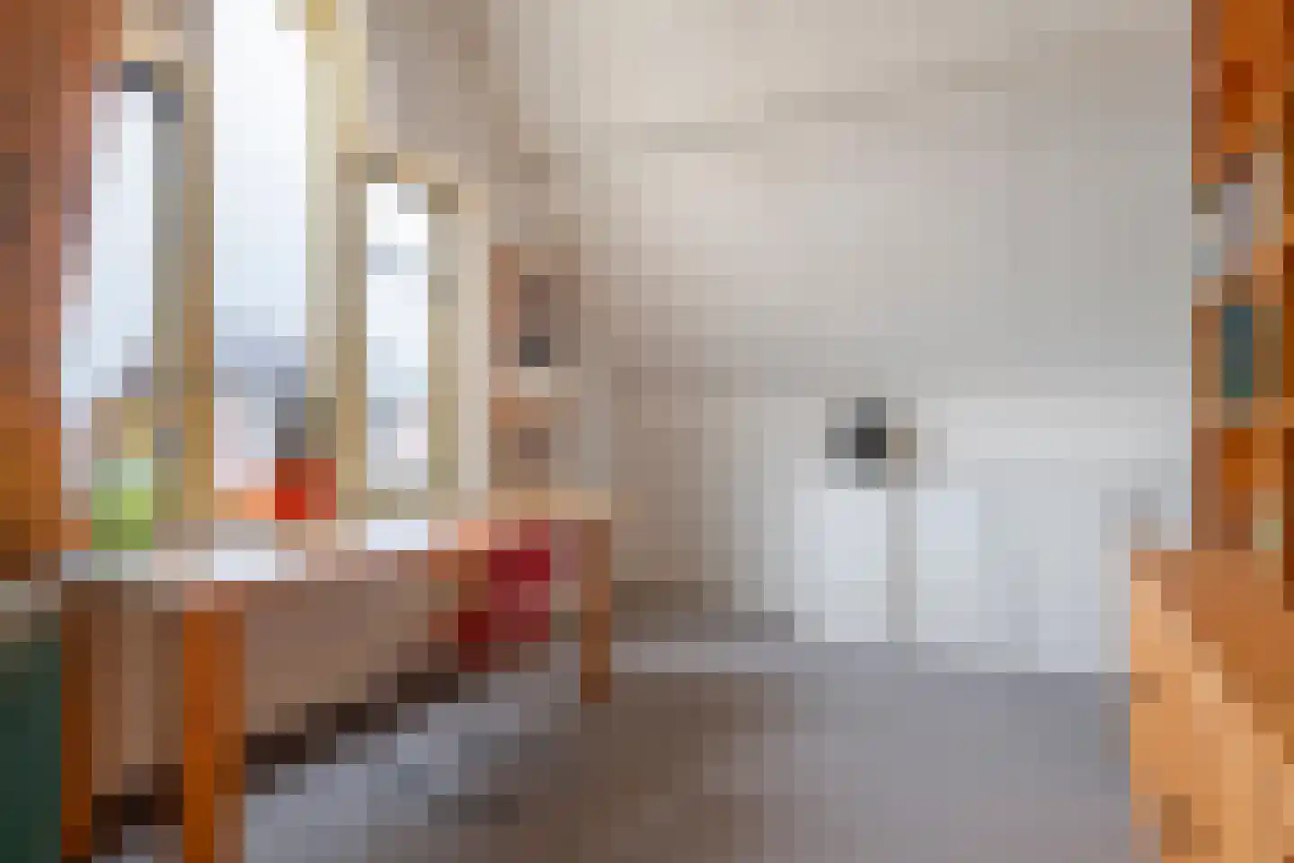 Graaf Florisstraat 32 Everdingen thumbnail 41